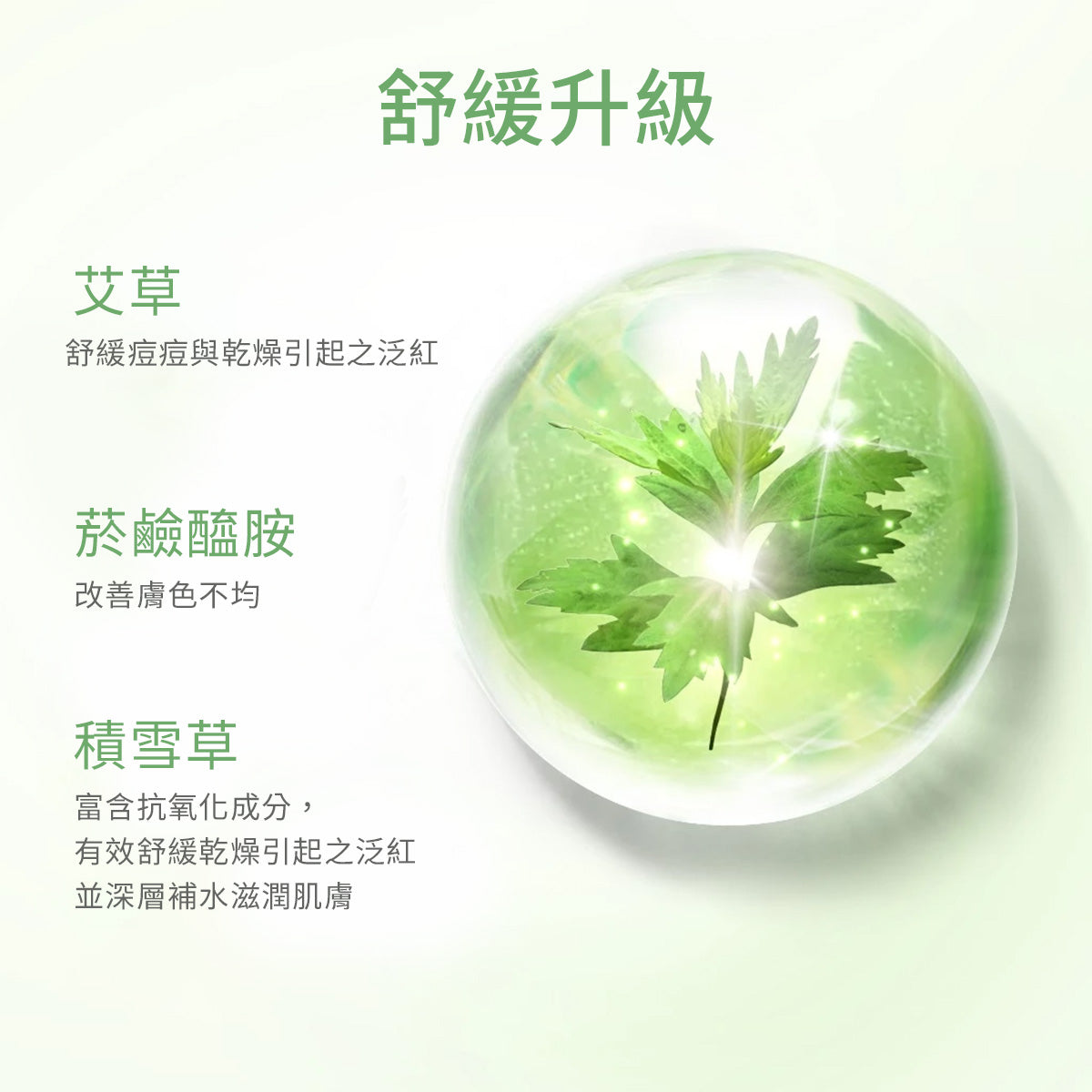 艾草舒緩泥膜
